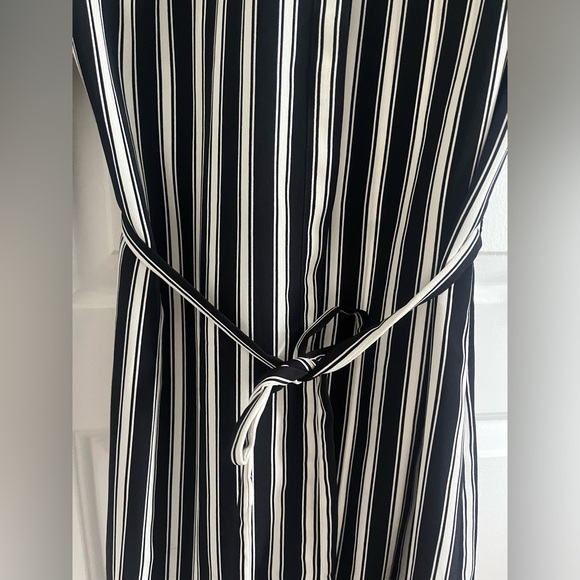 Express Dress - Picture 4 of 4